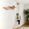 A fluffy orange cat is climbing a beige wall mounted hammock and rope set on a white wall.