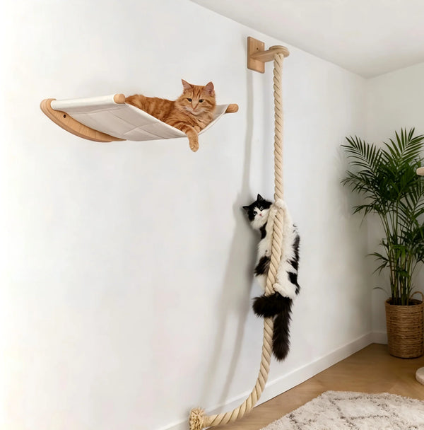A wall mounted cat hammock and climbing shelf set featuring a wooden shelf and a rope for a cat to climb