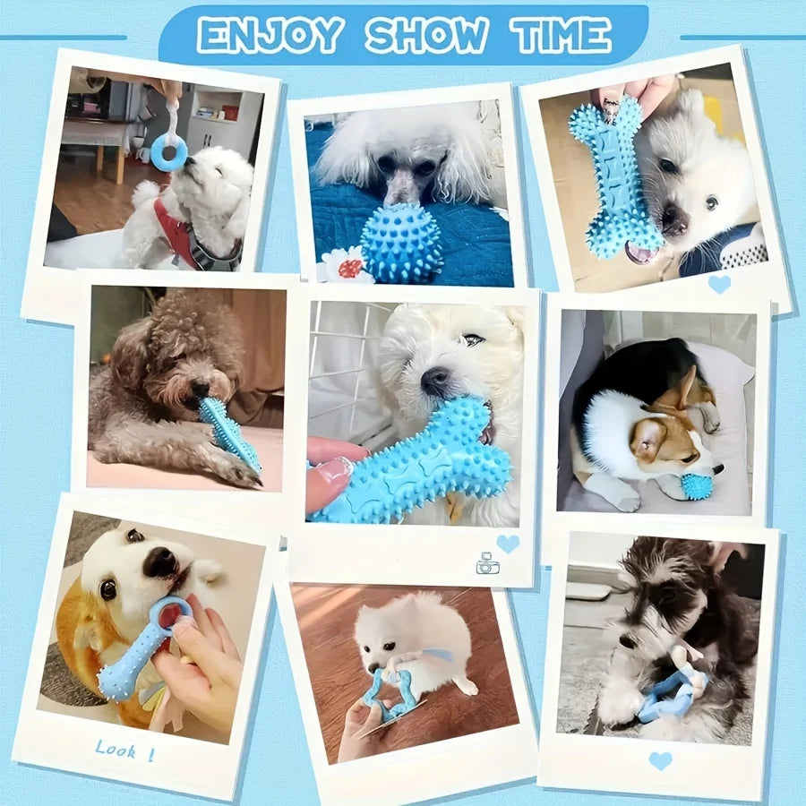 A collection of blue and white durable chew toys for puppies, including hedgehog shapes and textured items.