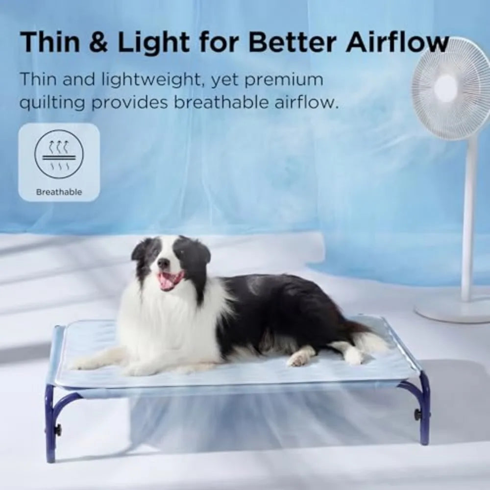A black and white dog is lying on a blue cooling pet mat with a white background.
