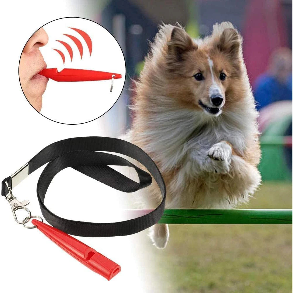 A fluffy dog is shown with an ultrasonic whistle and lanyard, demonstrating a silent training tool.