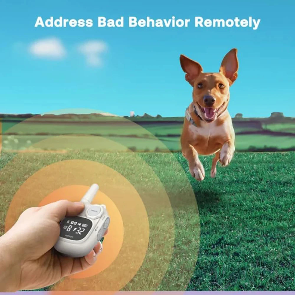 A hand holds a compact waterproof dog training collar with a remote, with a dog running in the background.