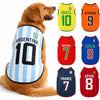 A golden retriever wearing a vest featuring national football team jerseys for Argentina and Brazil.