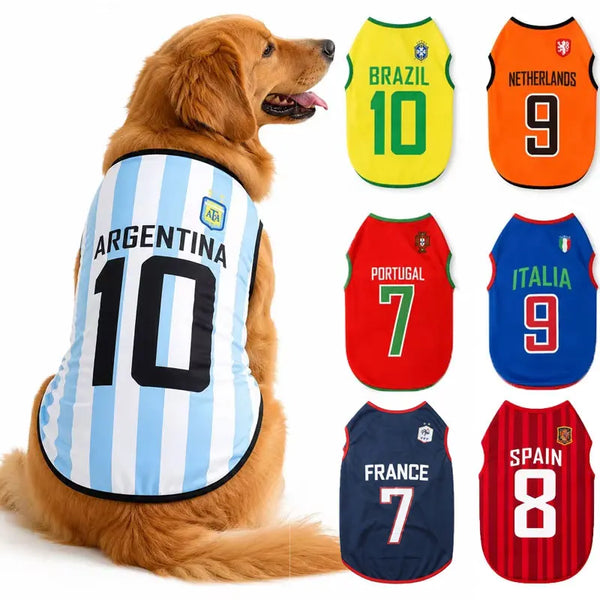 A golden retriever wearing a vest featuring national football team jerseys for Argentina and Brazil.
