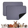 A collection of small mammals including a squirrel, various rodents, and rabbits.