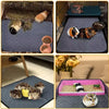 A collection of reusable non-slip fleece cage liners for small pets, showing various colors and textures.