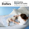 A woman is placing a cooling dog mat for crates onto a small dog lying on a white couch.