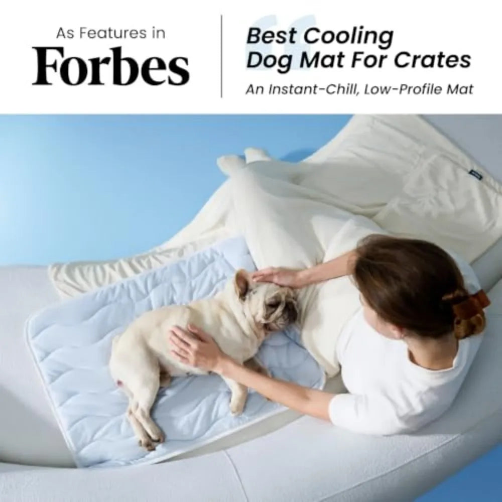 A woman is placing a cooling dog mat for crates onto a small dog lying on a white couch.