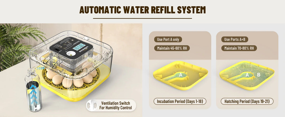 Système de remplissage d'eau automatique montrant un incubateur à œufs avec des ports A et B pour l'incubation et l'éclosion.