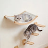 A gray kitten is resting in a wall-mounted cat hammock and climbing shelf set.