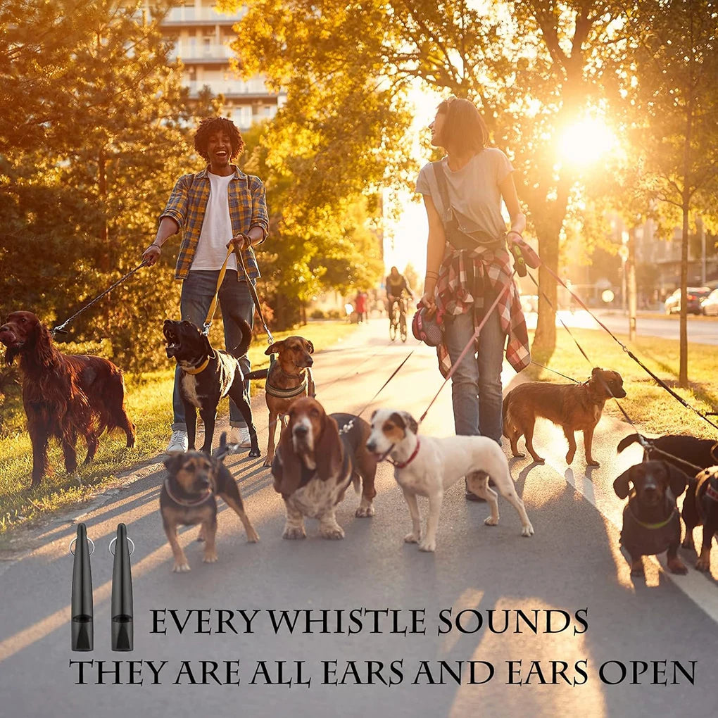 A group of dogs are standing on a road with a person holding whistles, set against a bright sunset background.