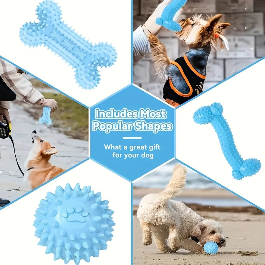 A set of durable blue chew toys shaped like a bone, hedgehog, and paw for dogs.