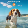 A beagle dog is running through clear water outdoors, demonstrating the waterproof capability of a training collar.