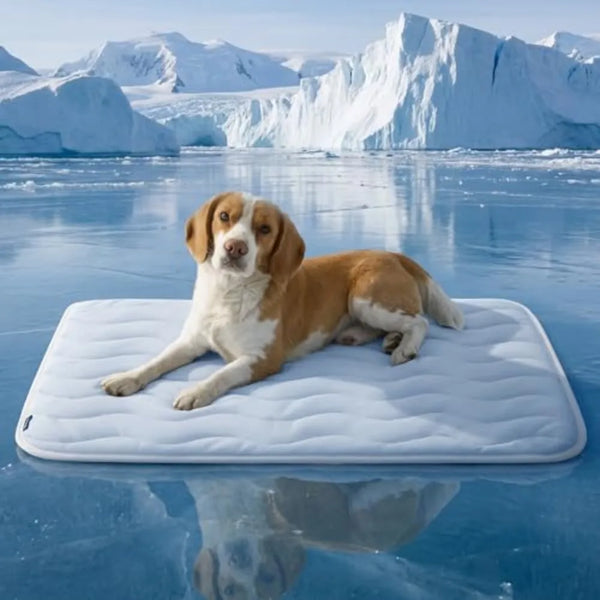 A dog is lying on a white cooling pet mat in an icy, glacial environment.