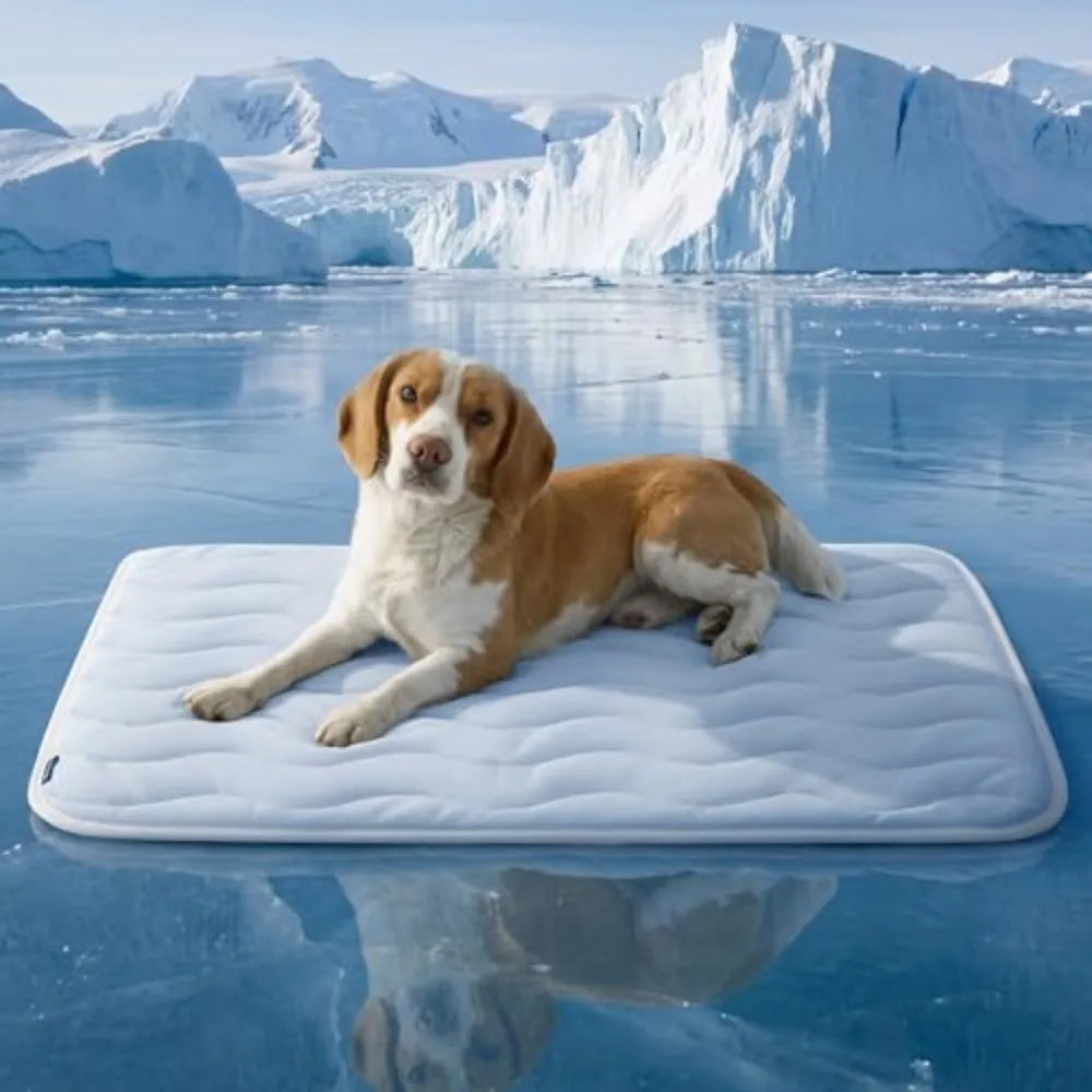 A dog is lying on a white cooling pet mat in an icy, glacial environment.