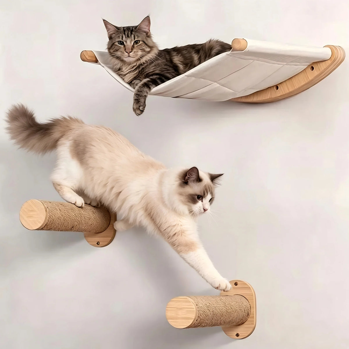 A cat is shown using a wall mounted hammock and climbing shelf set for play.