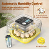 Dispositif de contrôle automatique de l'humidité avec réservoir d'eau A/B et plateaux à œufs pour l'incubation.