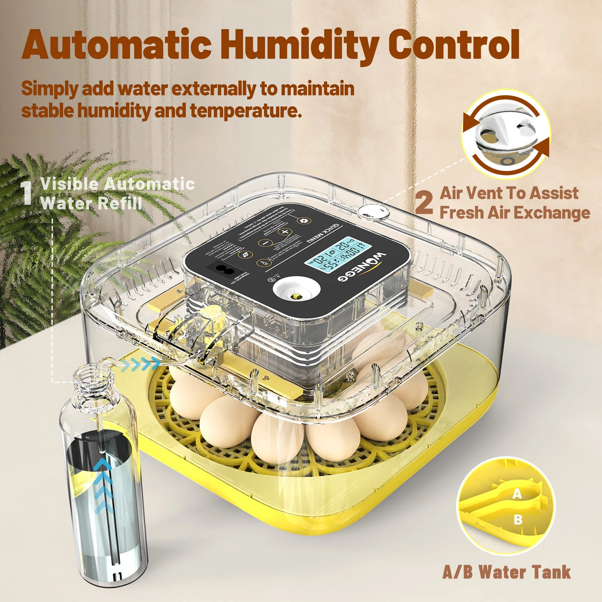 Dispositif de contrôle automatique de l'humidité avec réservoir d'eau A/B et plateaux à œufs pour l'incubation.