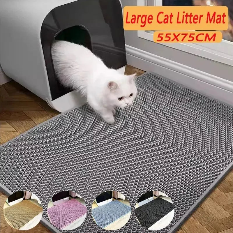 Un chaton blanc se tient sur un grand tapis de litière gris dans une boîte à chats.