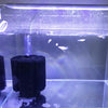 An aquarium setup featuring a blue light, an air pump, and small fish in water.