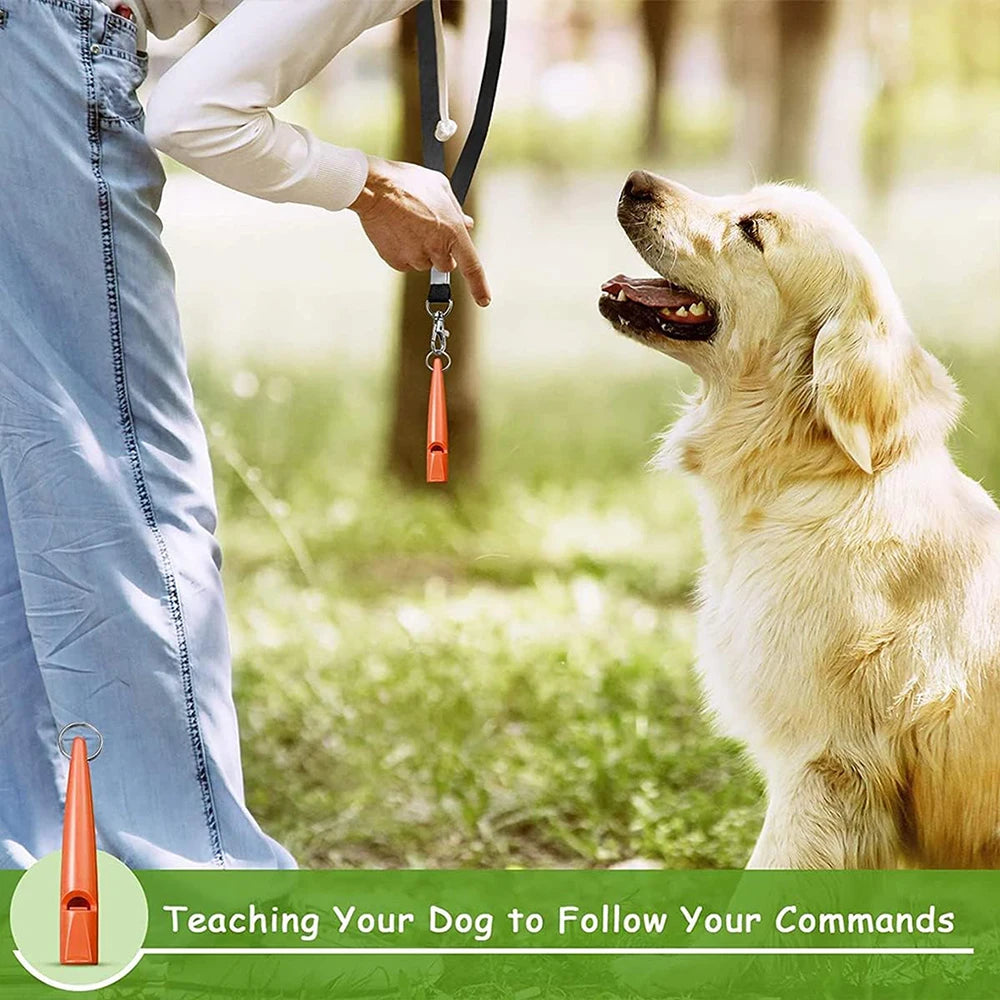 A golden dog looks up at a person holding an ultrasonic dog whistle on a lanyard during training.