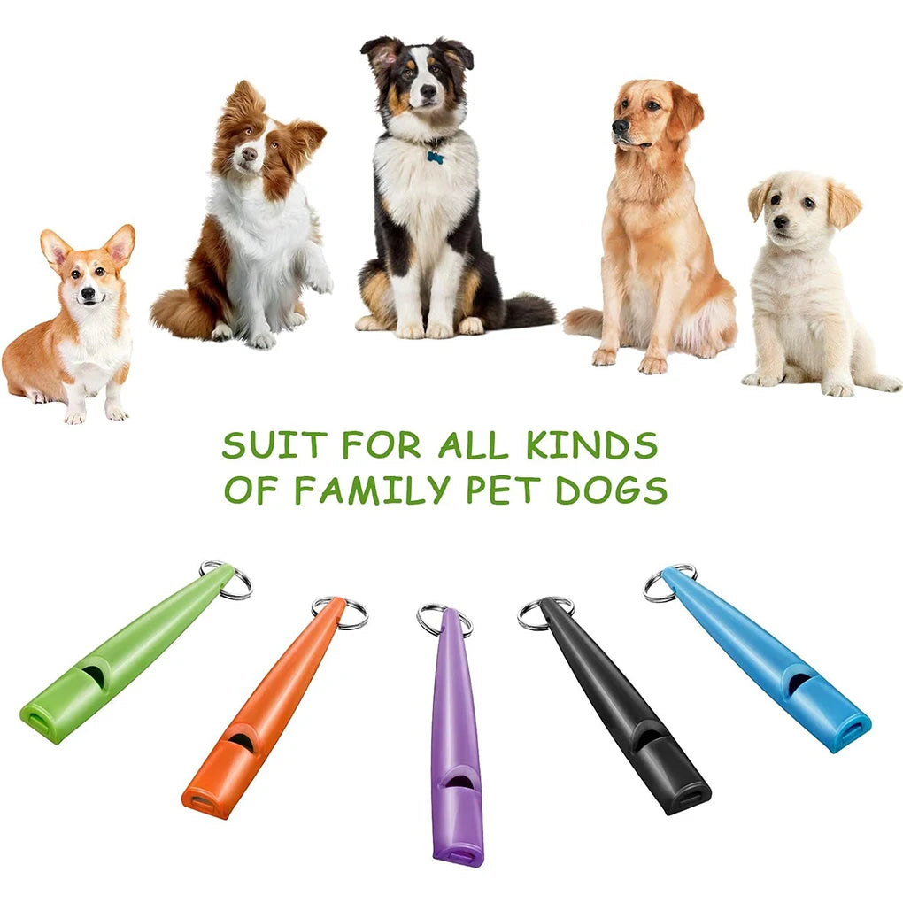 A collection of five dog whistles in various colors and shapes with lanyards shown next to several family pet dogs.