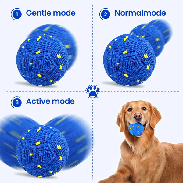 Drei Modi eines interaktiven blauen Hundesballs: Sanft, Normal und Aktiv, wobei einer von einem Goldfarben gespielt wird