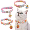A white cat wearing a colorful lace pet collar with a gold pendant.