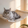 A fluffy gray cat is relaxing in a light-colored wall mounted cat hammock and climbing shelf set.