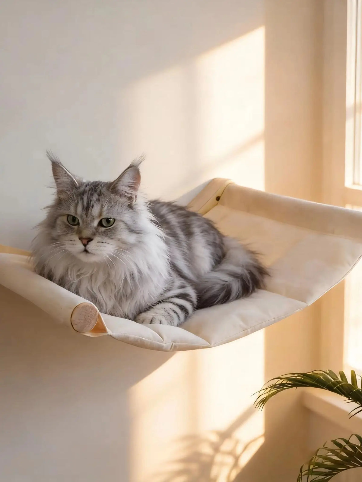 A fluffy gray cat is relaxing in a light-colored wall mounted cat hammock and climbing shelf set.