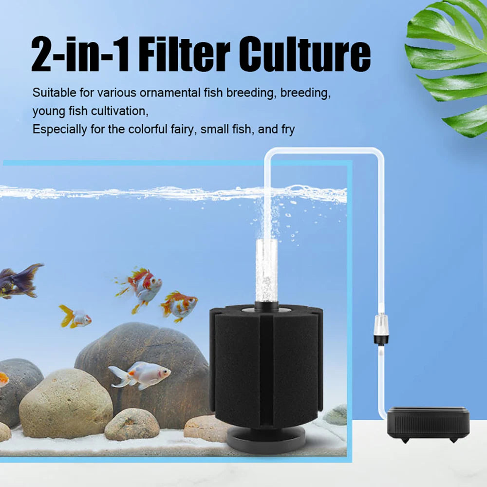 A black 2-in-1 filter culture device is shown with water flowing through it, surrounded by rocks and small fish.
