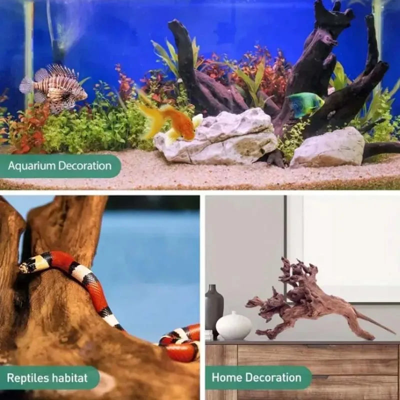 Natürliches Treibholz als Dekoration für Aquarien und Terrarien