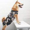 A light brown dog wearing a camouflage pet recovery suit standing on a white table.