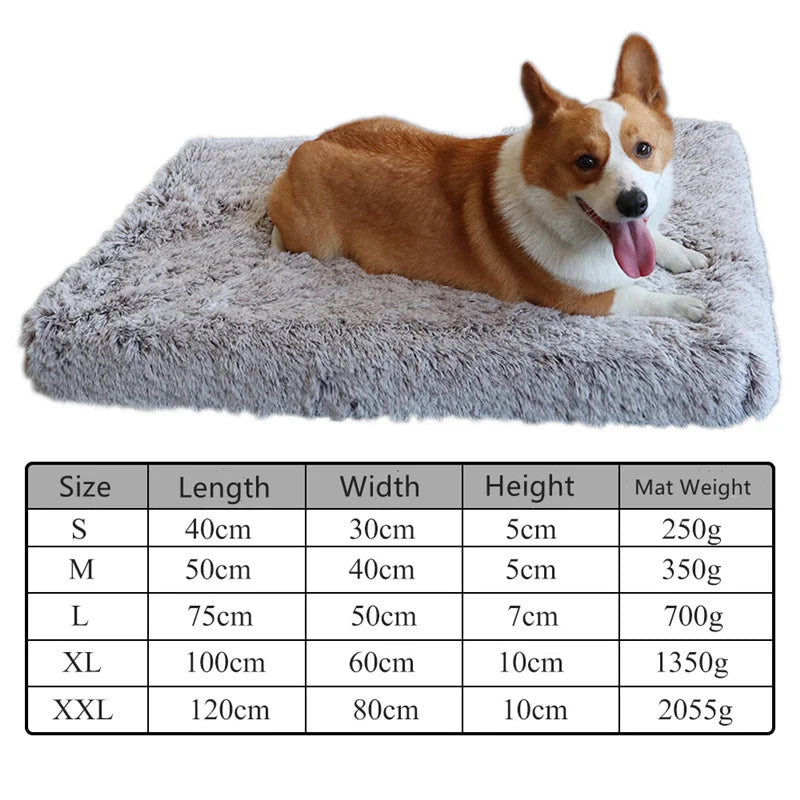 A fluffy orange and white dog is resting on a rectangular gray orthopedic pet bed.