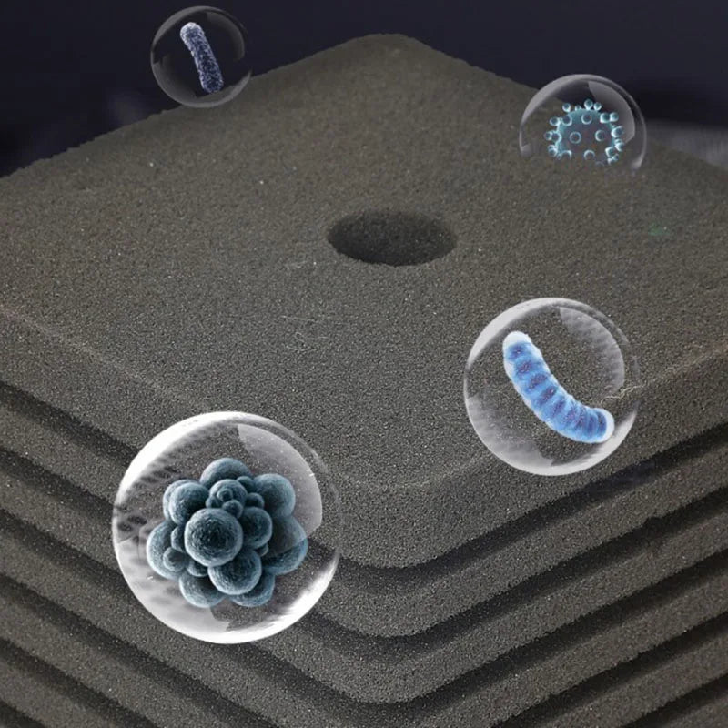 Microscopic view of an aquarium bio sponge filter with various biological structures like bacteria and protozoa