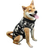 A happy Shiba Inu dog wearing a black and white breathable recovery suit.