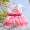 A pink and white tulle dress for a dog featuring a bodice with a floral design and a pink sheer skirt.