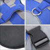 Close-up view of a blue and gray reflective dog life jacket featuring adjustable straps and a black buckle.