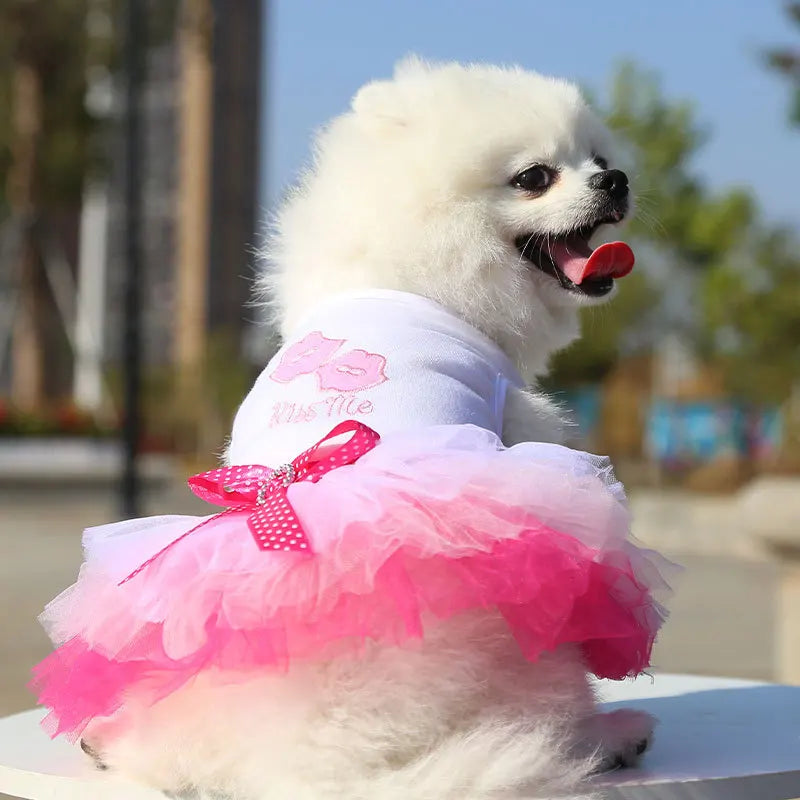 A fluffy white dog wearing a pink and white elegant spring pet dress with ruffles and a bow.