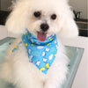 A fluffy white dog wearing a blue patterned bandana sits on a light surface.