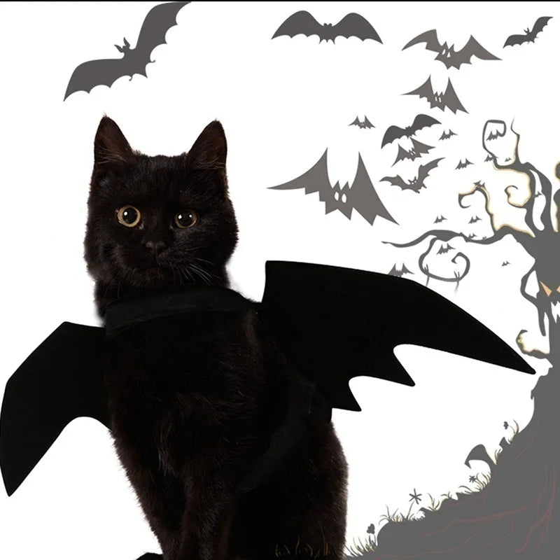 Un chat noir aux ailes sombres est représenté sur fond blanc avec des silhouettes de chauves-souris et d'arbres.