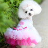 A fluffy white dog wearing an elegant pink and white ruffled dress outdoors.