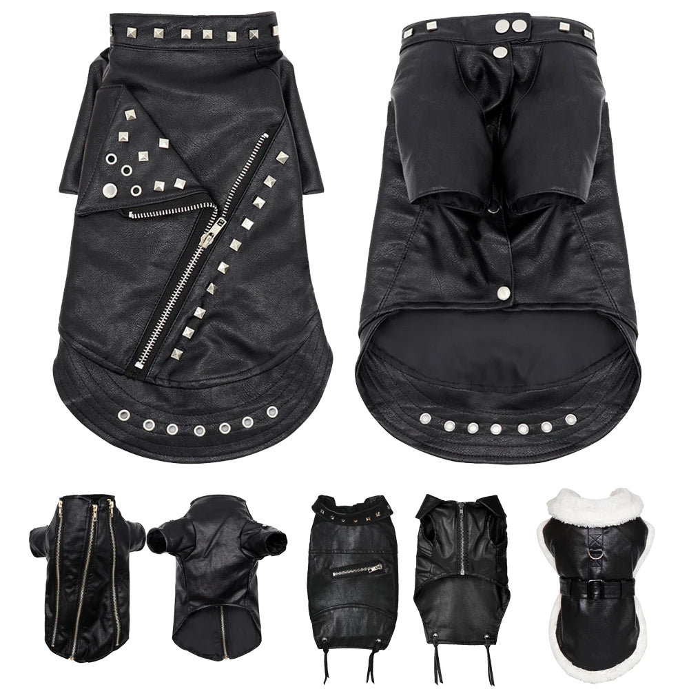 Black PU leather dog jacket for small to medium breeds shown in various views
