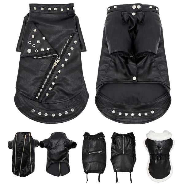 Black PU leather dog jacket for small to medium breeds shown in various views