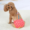 A light brown poodle wearing colorful washable physiological dog underwear on a white carpet.