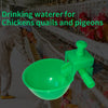Un distributeur d'eau automatique vert verse de l'eau dans un bol pour poules, paons et pigeons dans une volière.