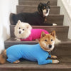 A black dog wearing a black onesie is sitting on wooden stairs next to a fluffy white dog wearing a pink onesie.