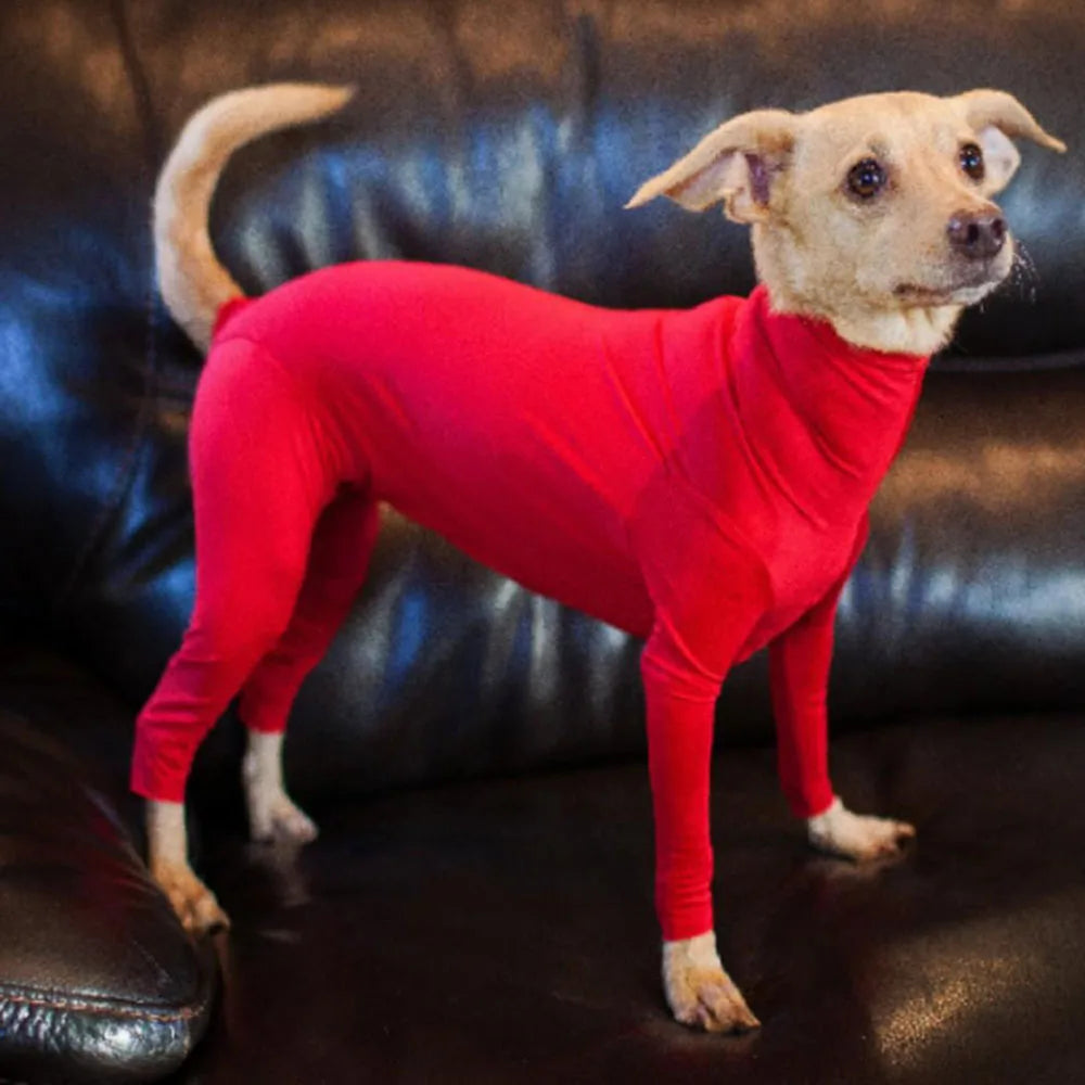 A light-colored dog wearing a bright red comfort fit onesie with full leg coverage, standing on dark leather furniture.