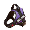 A purple and black adjustable pet walking harness for dogs.