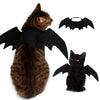 Un chat brun et duveteux portant des ailes de chauve-souris noires en costume cosplay.